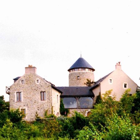 Au Moulin Geant Bed and Breakfast Rochefort-sur-Loire Exteriör bild