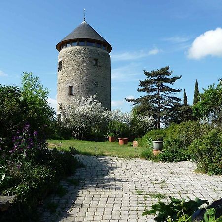 Au Moulin Geant Bed and Breakfast Rochefort-sur-Loire Exteriör bild