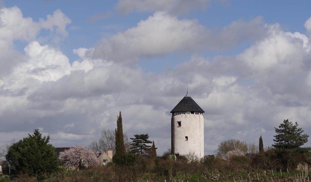 Au Moulin Geant Bed and Breakfast Rochefort-sur-Loire Exteriör bild