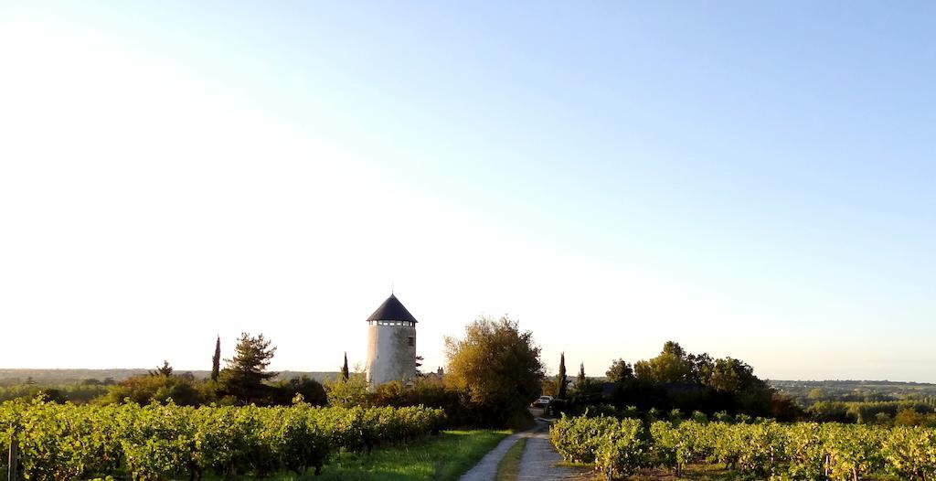 Au Moulin Geant Bed and Breakfast Rochefort-sur-Loire Exteriör bild