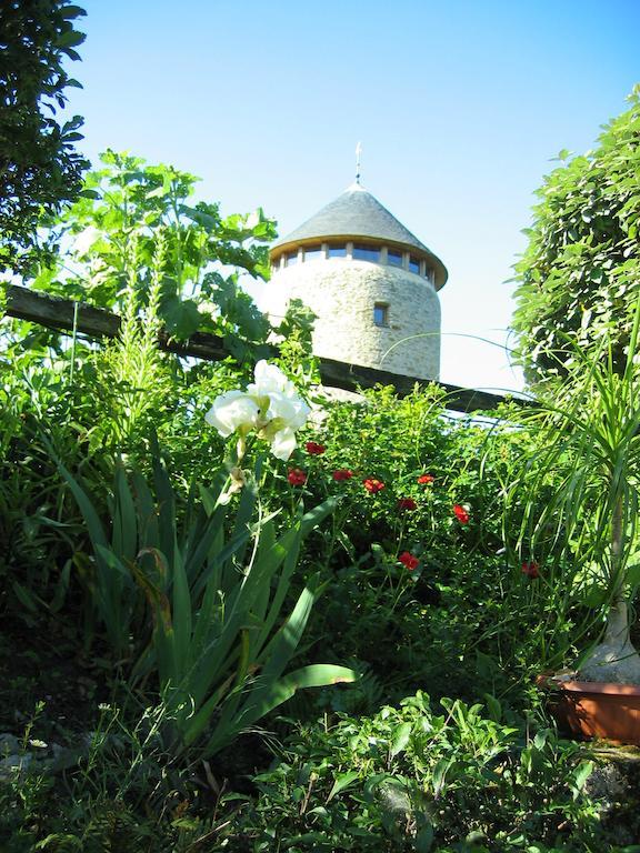 Au Moulin Geant Bed and Breakfast Rochefort-sur-Loire Exteriör bild