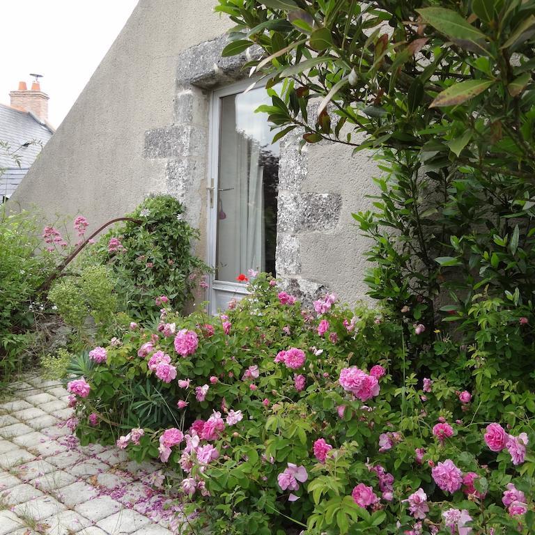 Au Moulin Geant Bed and Breakfast Rochefort-sur-Loire Rum bild